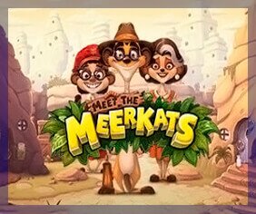 meet-the-meerkats